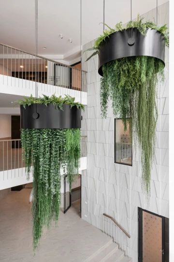 Hanging Plants Indoor Flowers - Home Decor Ideas - Home Decorating Ideas - Interior Plant Design, Partition With Plants Interior Design, Hotel Plants Lobby, Greenery Wall Pots & Planters, Living Wall Indoor Pots & Planters, Tropical Plant Installation, Interior Design Plants, Indoor Plant Wall, Hanging Plant Wall