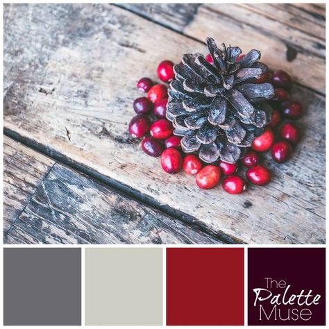 Simple farmhouse Christmas palette of grays and reds #thepalettemuse #colorpalette #colorinspo Colors Branding, Shopping For Christmas, Christmas Palette, Books Wedding, Simple Subject, Christmas Color Palette, Palette Design, Palette Inspiration, Christmas Color