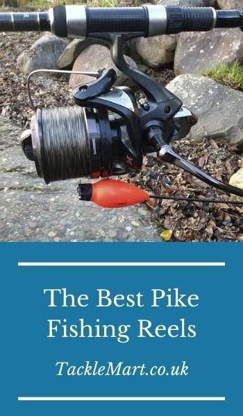 Best Pike Fishing Reel Pike Fishing Lures, Penn Reels, Live Bait, Pike Fishing, Fishing Game, Best Fishing, Fishing Line, Best Camera, Fishing Reels