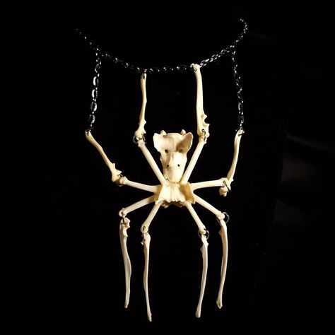 Always said I’d never make jewelry but this necklace idea kept popping back in my head. Consider this dangling bone spider a test run, may let it go at the @odditiesandcuriositiesexpo in Tulsa this weekend (Saturday, Feb.... Medical Horror, Popping Back, Oddity Art, Macabre Decor, Diy Skulls, Skull Crafts, Evil Queens, Taxidermy Art, Dexter Morgan