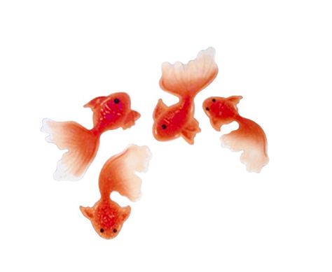 Goldfish Widget, Goldfish Icon, Fish Png, Fish Icon, Screen Icon, Fish Wallpaper, Iphone App Design, Png Icons, Widget Icon