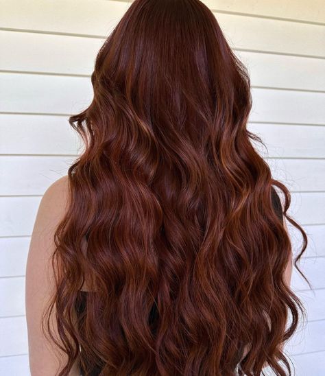 All Posts • Instagram Darkest Copper Hair, Dark Toffee Hair Color, Curly Mahogany Hair, Copper Mahogany Hair, Golden Copper Hair Color, Golden Copper Hair, Light Copper Hair, Bright Copper Hair, Bronze Hair Color