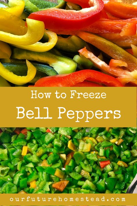 Ways To Preserve Bell Peppers, Freeze Bell Peppers, Freezing Green Peppers, Canning Bell Peppers, Freezing Bell Peppers, Diy Homesteading, Freezing Peppers, Homestead Lifestyle, Freezing Vegetables