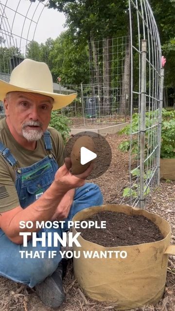 Regrow Sweet Potatoes, How To Plant Sweet Potatoes, Sweet Potato Garden, Planting Sweet Potatoes, When To Plant Potatoes, Potato Gardening, Potato Planters, Planting Garden, Texas Garden