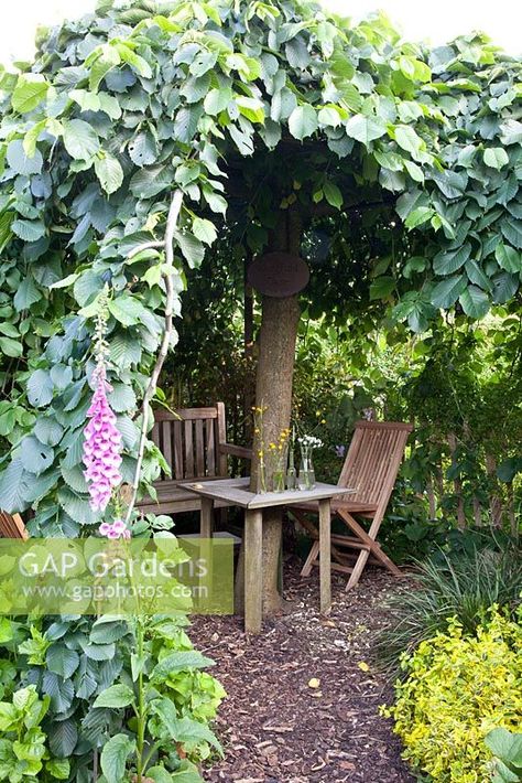 Table Under Tree Backyards, Garden With Tree In Middle, Bench Under Tree Ideas, Under Tree Patio, Canopy Trees Backyards, Garden Sitting Area Under Tree, Under Tree Seating Area Ideas, Hidden Garden Seating Area, Secret Garden Nook