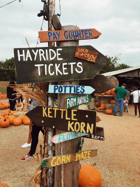 Pumpkin Patch Business, Pumpkin Patch Decoration, Pumpkin Patch Activities, Aesthetic Pumpkin Patch, Pumpkin Patch Aesthetic, Patch Aesthetic, Best Friend Photo Ideas, Pumpkin Patch Farm, Harvest Festivals