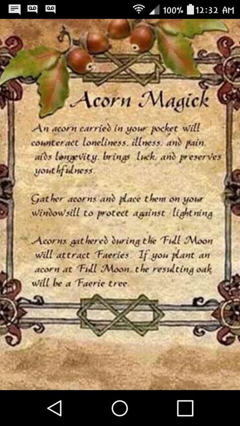 Acorn magic Wicca Spells, Magickal Herbs, Wiccan Witch, Wicca Witchcraft, Witch Spell, Herbal Magic, Witch Magic, Wiccan Spells, Practical Magic