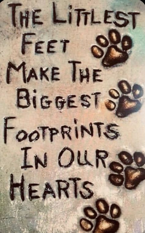 Losing Pet Quotes Dogs, Missing Dog Quotes, Losing A Dog Quotes, Losing A Pet Quotes, Dog Heaven Quotes, Miss My Dog, Pet Quotes, Dog Poems, Dog Quotes Love