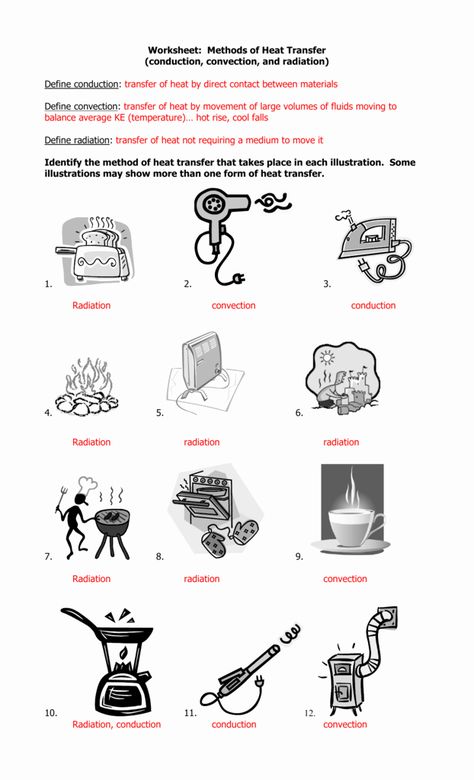 Heat Transfer Activities, Heat Transfer Science, Thermal Energy Transfer, Conduction Convection Radiation, Biology Worksheet, Heat Energy, Thermal Energy, Energy Transfer, Science Worksheets