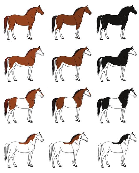 Splashed White Mutations – SW1, SW2, SW3, SW4, SW5, SW6, SW7 and SW8 | Veterinary Genetics Laboratory Splash Horse, Dutch Warmblood, Horse Markings, American Paint Horse, Welsh Pony, Horse Games, Morgan Horse, American Paint, Shetland Pony