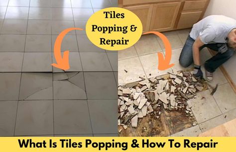 What Is Tile Popping? Tile popping is the phenomenon where the floor tiles pop out, break or bend and causing unevenness in the floor. Nowadays, most houses consist of floor … What Is Tile Popping | 6 Top Reasons for Tiles Popping | How To Repair Pop Up Tiles | Tiles Buckling Read More » Beautiful Tile Floor, Tile Repair, Flooring Projects, Porcelain Tiles, Marble Floor, Beautiful Tile, Pop Out, Kitchen Tiles, Floor Tiles