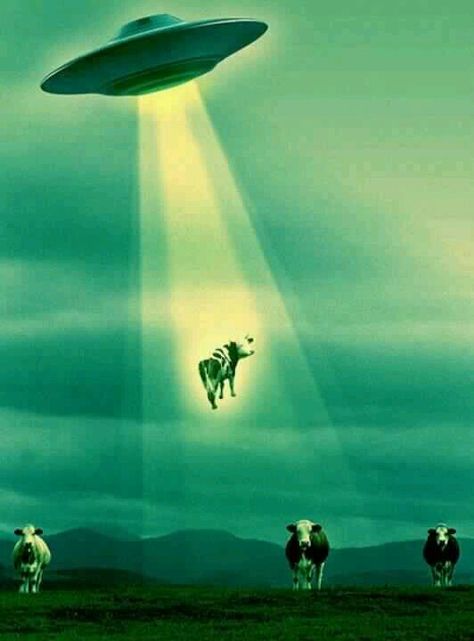 Ufo taking cow Ufo Art, Alien Aesthetic, Arte Alien, Arte 8 Bits, Psy Art, Alien Abduction, Space Aliens, Aliens And Ufos, Flying Saucer