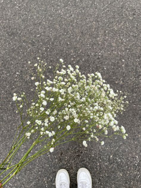 Dainty white flowers infront of wet street with white sneakers peaking in the background. Aesthetic Filler Photos, Instagram Filler, Flower Simple, Filler Photos, Simple Aesthetic, White Flower, Rainy Day, White Flowers, Plants