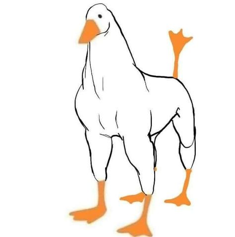 Draw A Duck, Duck Memes, Untitled Goose Game, Goose Game, Duck Drawing, Ducks And Geese, Duck Art, Funny Duck, Duck Duck