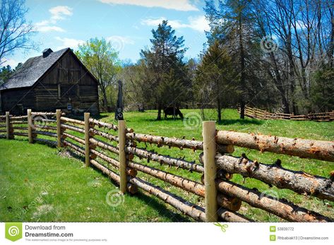 Log Fence Barn Cow - Download From Over 39 Million High Quality Stock Photos, Images, Vectors. Sign up for FREE today. Image: 53839772 Stacked Log Fence, Log Fence Ideas, Cow Eating, Log Fence, Ranch Fencing, Country Fences, Cedar Posts, Rustic Fence, Horse Fencing