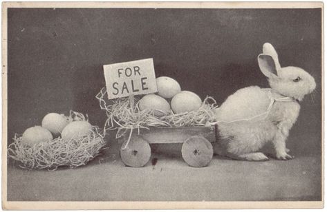 Easter Bunny Aesthetic, Crazy Rabbit, Easter Aesthetic, Eggs For Sale, Bunny Aesthetic, Bunny Egg, Easter Photos, Old Photographs, Diy Decor Crafts