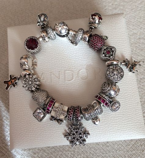 My Winter Pandora❤️ Pandora Winter, Winter Bracelet, Clothing Designs, Pandora Charm, Fancy Jewelry, Pandora Bracelets, Pandora Bracelet, Dream Jewelry, Pandora Charms