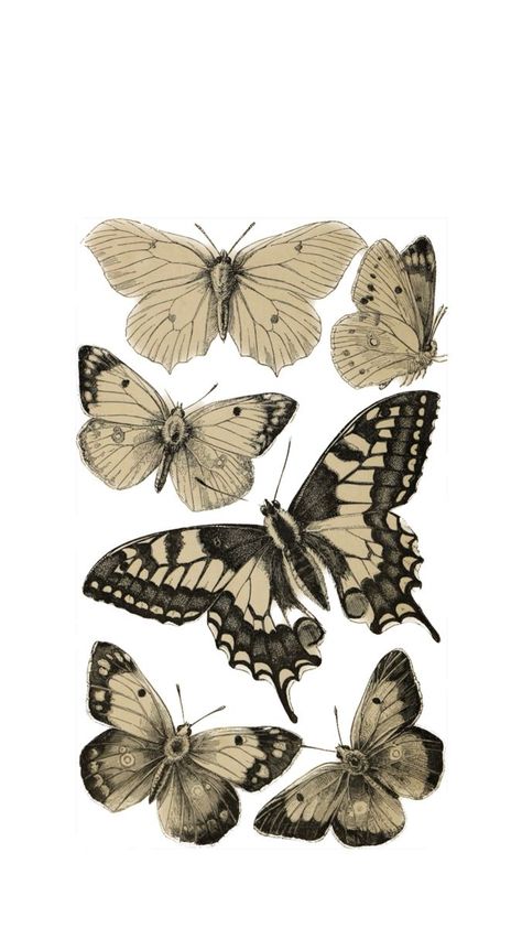 Beige Journal Stickers, Dark Academia Flowers Drawing, Aesthetic Posters Wall Decor Beige, Aesthetic Designs For Journals Printable Black And White, Cream Aesthetic Poster, Light Academia Illustration, Dark Academia Aesthetic Scrapbook, Brown Aesthetic Design For Scrapbook, Butterfly Aesthetic Printable