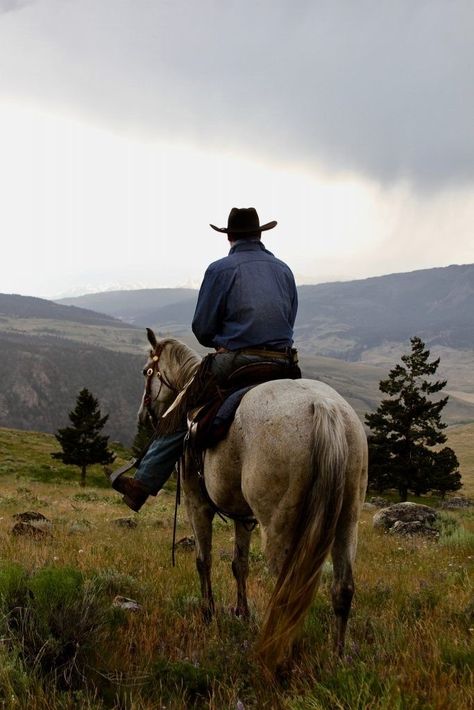 Cowpoke Aesthetic, Cowboy Pics, Western Images, Cowboy Photography, Rodeo Cowboys, Cowboy Pictures, Man On Horse, Cowboy Aesthetic, Western Photography