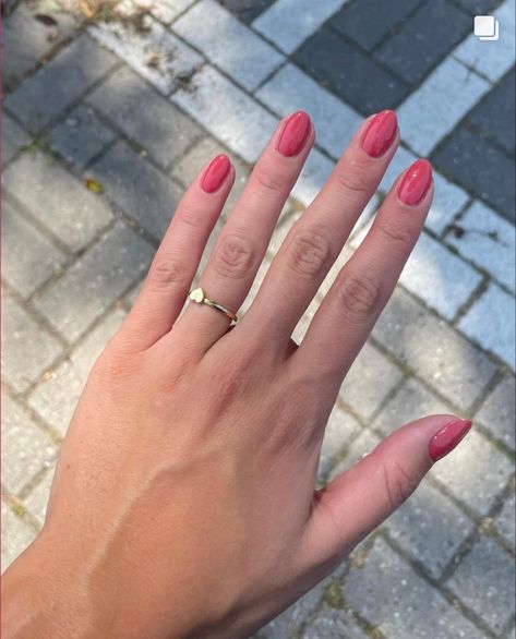 Gel Nails For Pale Skin, Pink Nails Tan Skin, Pale Skin Nail Color, Nails For Pale Hands, Nail Polish For Pale Skin, Round Pink Nails, Nails Pale Skin, Nails For Pale Skin, Sweetest Dreams