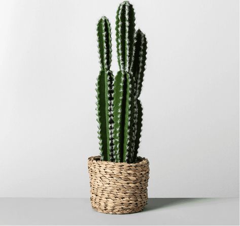 Cactus Inspiration, Kaktus Dan Sukulen, Cactus Nursery, Artificial Cactus, Making Plant Pots, Fake Plants Decor, Artificial Potted Plants, Bedrooms Ideas, Target Home Decor