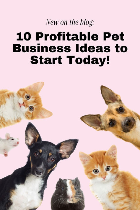 animal business ideas
pet business ideas
unusual pet business ideas
online pet business ideas pet business
pet sitting business
pet care business
pet industry jobs
pet grooming business
how to start a pet business
pet based business
pet daycare business
pet business opportunity Pet Small Business, Animal Business Ideas, Pet Social Media Post, Pet Business Ideas, Dog Business Ideas, Unique Small Business Ideas, Dog Boutique Ideas, Dog Sitting Business, Pet Influencer