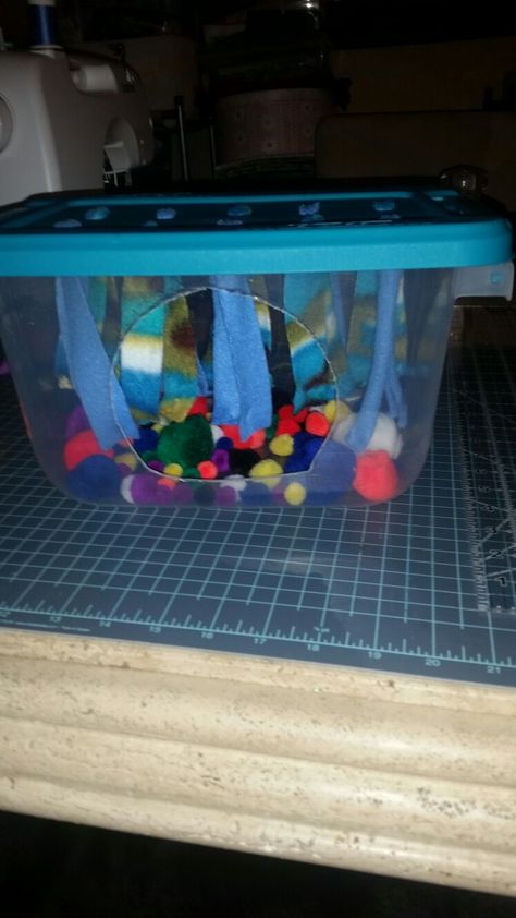 Hedgehog fleece forest and ball pit made it for my new hedgie Diy Sugar Glider Toys, Diy Hedgehog Toys, Sugar Glider Cage Ideas, Diy Hedgehog, Ferret Diy, Diy Rat Toys, Hedgehog Toys, Pompom Balls, Pet Hedgehog