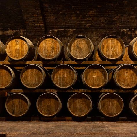 Wooden Barrels for wine aging in cellar. #wine #italianwine #aesthetic #photo #photography Wine Making Aesthetic, Wine Cellar Aesthetic, Barrel Aesthetic, Shelby Aesthetic, Wooden Barrels, Tommy Shelby, Oc Stuff, Wine Barrels, Wooden Barrel