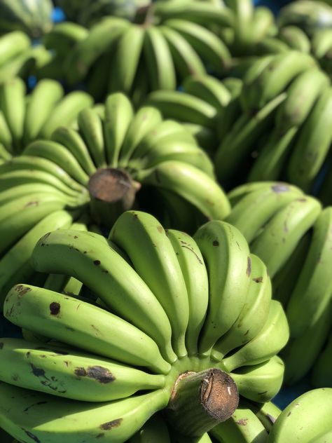 Aesthetic Banana, Banana Aesthetic, Banana Aesthetic Fruit, Banana Leaf Food Photography, Banana Yellow, Banana Fruit, Green Banana, Abba, Fruit Salad