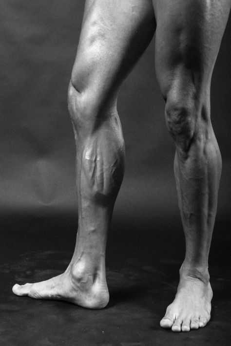 Lower Leg Bent Knee Reference, Lower Body Anatomy, Legs Anatomy, Leg Reference, Reference Models, Cycling Legs, Lower Leg Muscles, Leg Anatomy, Human Muscle Anatomy