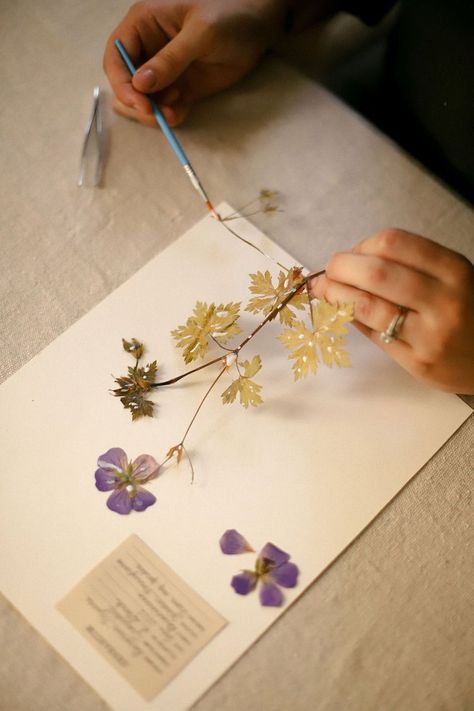 Pressed Flowers Diy, Flower Petal Art, Pressing Flowers, Dried Flowers Diy, Pressed Botanicals, Pressed Flower Crafts, Dried And Pressed Flowers, Pressed Flower Art, Card Making Tutorials