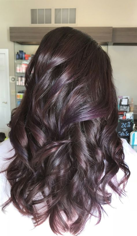 Brown Hair With Purple And Red Highlights, Chocolate Brown Hair With Purple Streaks, Plum Purple Highlights Brown Hair, Brunette With Violet Highlights, Dark Purple Highlights Light Brown Hair, Dark Brown Hair With Violet Highlights, Violet Lowlights In Brown Hair, Purple Highlights On Dark Brown Hair, Brown And Violet Hair