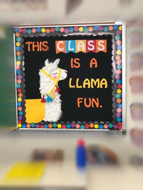 Llama Door Decorations Classroom, Llama Classroom Door Ideas, Llama Classroom Decor, Llama Bulletin Board Ideas, Ffa Reporter, Llama Classroom Theme, Llama Bulletin Board, Llama Classroom, Fall Classroom Door