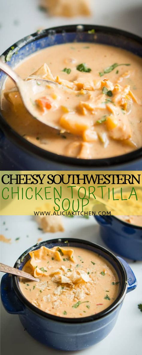 CHEESY SOUTHWESTERN CHICKEN TORTILLA SOUP - Cooking Recipes Cheesy Southwest Chicken Tortilla Soup, Cheesy Southwest Chicken Soup, Cheesy Chicken Tortilla Soup Crock Pot, Southwestern Soup Chicken, Cheesy Tortilla Soup, Cajun Butter Steak, Cheesy Chicken Tortilla Soup, Soba Soup, Southwestern Chicken Soup