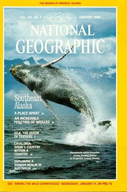 National Geographic Covers #1050-1099 National Geographic Cover, Spain Country, National Geographic Expeditions, National Geographic Photography, Science Stories, Country Magazine, National Geographic Magazine, Nature Posters, Humpback Whale