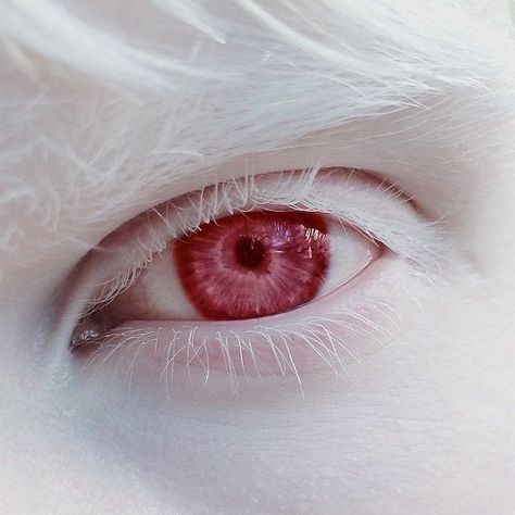 Albino Aesthetic, Aleister Crowley, Aesthetic Eyes, Character Inspo, Fantasy Aesthetic, Anime Eyes, Eye Art, Pretty Eyes, Red Eyes