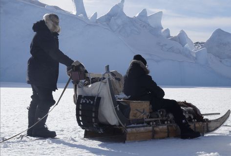 stereotypes about greenland dog sledding Dog Sleds, Dog Sled, Sled Dogs, Greenland Dog, Inuit People, Children Of Men, Musk Ox, Japanese American, Minecraft Building