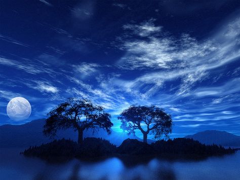 They say a picture is worth a thousand words, this one is worth ten thousand... Weather Phenomenon, Shelf Cloud, Bozeman Montana, Two Trees, Oct 1, The Night Sky, Feeling Blue, Photography Wallpaper, Chiaroscuro