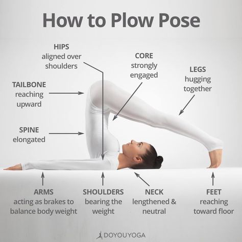 Plow Pose Yoga, Plow Pose, Yoga Ashtanga, Yoga Nature, Ashtanga Vinyasa Yoga, Yoga Stretching, Camel Pose, Yoga Beginners, Frosé