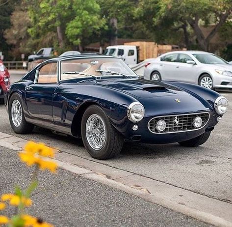 Ferrari 250 Gt Berlinetta, 240z Datsun, Bmw Classic Cars, Auto Retro, Ferrari 250, Classic Sports Cars, Ferrari Car, Classy Cars, Italian Cars