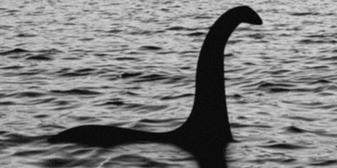 The Snallygaster, The Kraken and 6 Other Creatures We Wish We Didn't Know About http://www.huffingtonpost.com/2014/03/28/big-foot-loch-ness-monster_n_4847821.html?utm_hp_ref=weird-newsir=Weird+News Loch Ness Monster Sightings, Monster Sightings, Legendary Monsters, Monster Hunt, Loch Ness Monster, Loch Ness, Sea Monsters, Inverness, Kraken