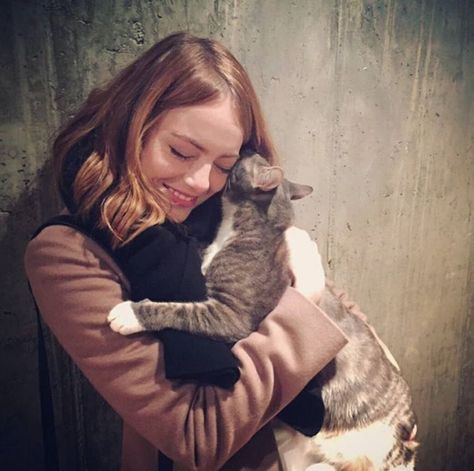 Emma cuddles a cat. Emma Stone Gwen Stacy, People With Cats, Celebrities With Cats, Emily Stone, Famous Cats, Stone Pictures, Gwen Stacy, Cat People, Andrew Garfield