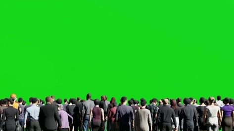 3D crowd on green screen background chroma key, Isolated group of people standing in back view People Animation, Youtube Animation, Green Screen Images, Greenscreen Ideas, Green Screen Photography, Free Green Screen Backgrounds, Chroma Key Backgrounds, Green Video, Book Cover Background