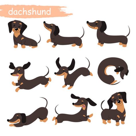 Dashhound Illustration, Drawing A Dachshund, Cartoon Weiner Dog, Funny Dachshund Art, Daschund Illustration Cute, Weiner Dog Illustration, Dachshund Dog Illustration, Sausage Dog Cartoon, Basset Hound Illustration