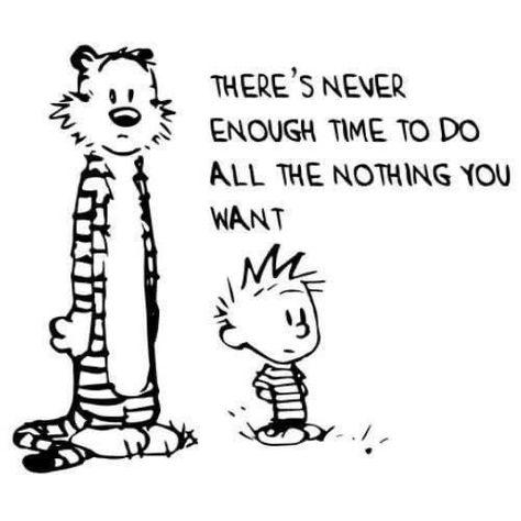 Calvin And Hobbes, A Boy, Black And White, Birthday, Funny, Quotes, White, Black