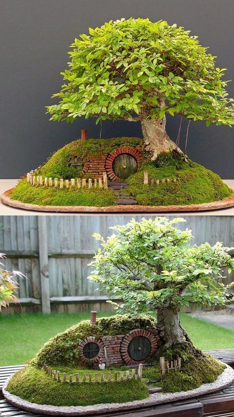 Glass Jar Diy, Hobbit Garden, Cloche Ideas, Plants Terrarium, Succulent Rock Garden, Fairy Garden Pots, Casa Hobbit, Succulent Ideas, Fairy Tree Houses