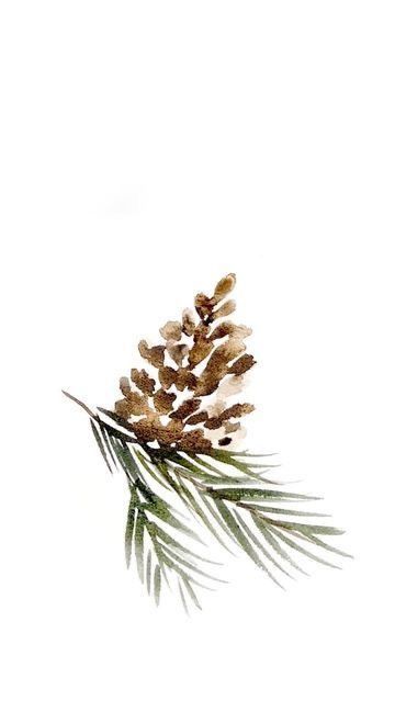 Watercolor Pine One, Pinecone Illustration Simple, Minimalist Watercolor Christmas Cards, How To Draw Pinecones, Pinecone Drawing Simple, Watercolor Pinecones Tutorial, Holiday Watercolor Ideas, Watercolour Pinecone, Diy Painted Christmas Cards