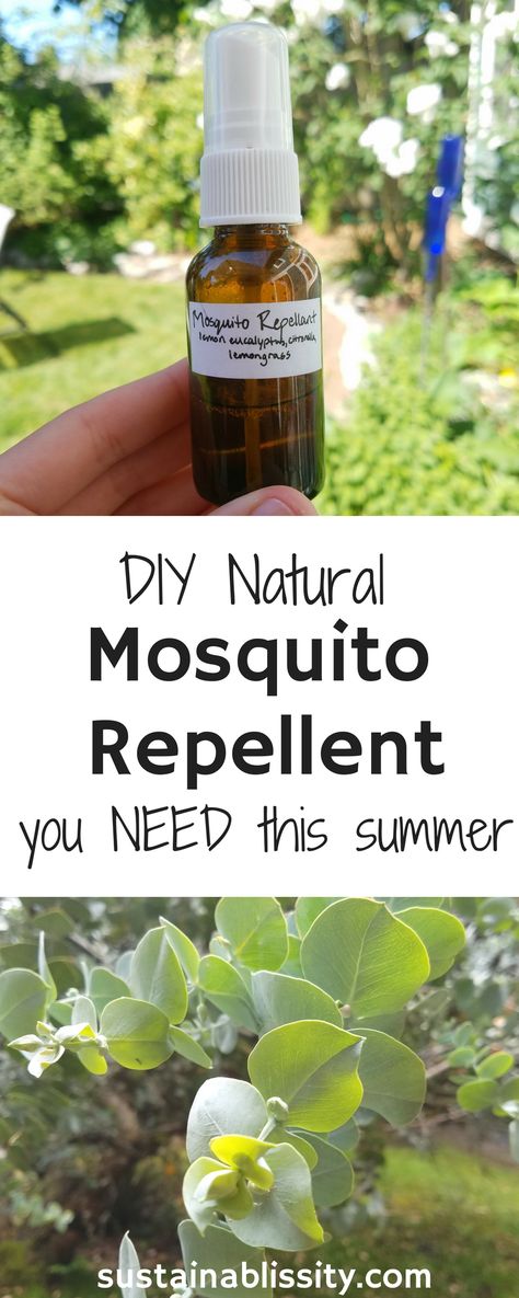 Mosquito Repellent Essential Oils, Repellent Diy, Mosquito Repellent Homemade, Diy Mosquito Repellent, Bug Repellant, Italian Beauty Secrets, Mosquito Spray, Natural Mosquito Repellant, Lemon Eucalyptus