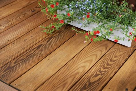 Deck stains can come in many forms, but the two main types you'll encounter are transparent and semi-transparent. In our recent blog, we breakdown the difference between the two and help you identify the right choice for your decking project. #zarstain #zarluxurystain #decks #deckstain #deckingstain #exteriorstain #exteriordesign #deckbuilders #deckingpros #paintpros #painters Semi Transparent Deck Stain, Deck Stains, Semi Transparent Stain, Deck Stain, Exterior Stain, Staining Deck, Deck Projects, Deck Builders, Semi Transparent