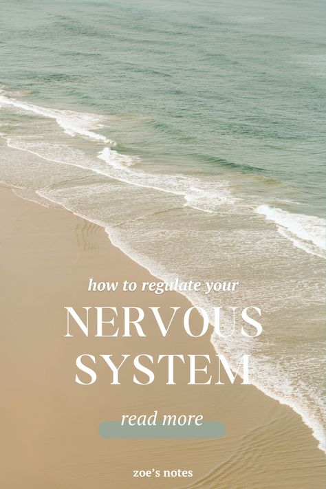 how to regulate your nervous system - zoe's notes Regulate Nervous System, Regulate Your Nervous System, Timer App, Parasympathetic Nervous System, Eft Tapping, Well Balanced Diet, Books For Self Improvement, Body Scanning, Finding Balance